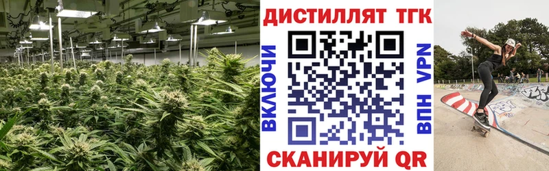 Дистиллят ТГК гашишное масло  Агрыз 