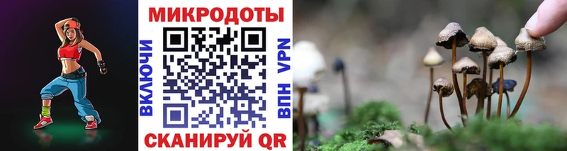 Псилоцибиновые грибы Cubensis  Агрыз 
